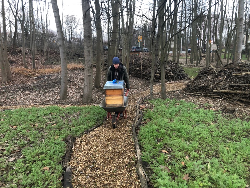  Die Kolleg-Bienen 